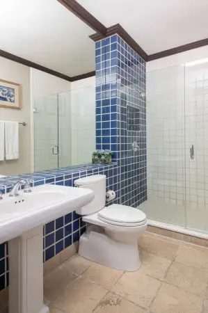 Image for room 2KKGV - 715_osprey_bathroom_01 