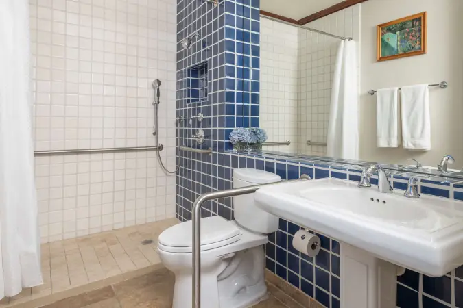 Image for room 2KKPVA - ada_kiwi_bathdroom_01 